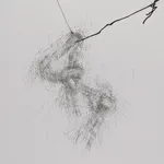 Detail of Graphite on paper drawing of a soft background with metallic central figures with a soft blended point.