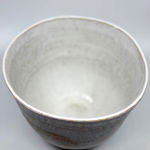 Iva Polachova, Standing still series, 2023