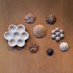 Julie Nelson, Rosa Ponti, 2026