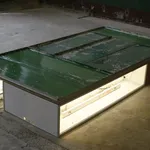 Laura Lancaster, Untitled, 2010