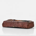 Emily Hesse, Black Birds Born From Invisible Stars, 2018