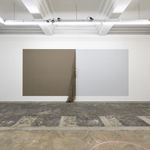 Emily Hesse, Black Birds Born From Invisible Stars, 2018