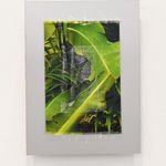 Priyageetha Dia, _///plantationrender04.png, 2022