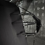 Filippo Sciascia, Crescita Tecno Organica, 2020