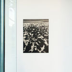 Chok Si Xuan, VINES (Afterlife), 2025