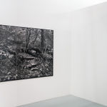 Maryanto, Telaga Warna, 2019