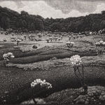 Chok Si Xuan, VINES (Afterlife), 2025