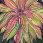 Alina Perez, Cigar Orchids, 2024