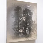 Matthew Brandt, AgXSB3129 (San Bernardino Forest), 2022