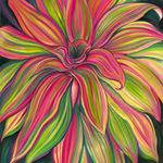 Alina Perez, Cigar Orchids, 2024