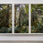 Sarah Anne Johnson, Beautiful Day, 2025