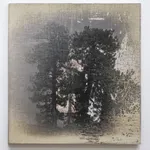 Matthew Brandt, AgXSB3129 (San Bernardino Forest), 2022