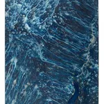 Meghann Riepenhoff, Ecotone #907 (Bainbridge Island, WA 06.03.20, Draped on Maple Windfall and Sword Ferns, Showers), 2020