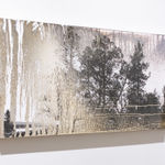 Matthew Brandt, AgXSB2040 (San Bernardino Forest), 2023