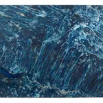 Meghann Riepenhoff, Ecotone #907 (Bainbridge Island, WA 06.03.20, Draped on Maple Windfall and Sword Ferns, Showers), 2020