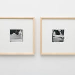 Serena Fineschi, Un giorno allʼimprovviso, 2020