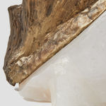 Debra Baxter, Mourning Lace 2, 2020