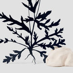 Future Retrieval, One for Fun III, 2023