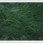 Rinko Kawauchi, Untitled, from the series Ametsuchi, 2013