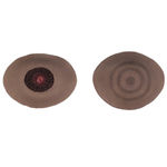 Holly Ballard Martz, Domestic Bliss, 2020