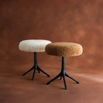 Robin Stool - Nickel