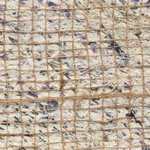 Jamal Cyrus, Evasion Chart _1 (patterns and switches), 2024