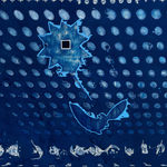 Robert Ruello, Shifting Surfaces, 2006-2012