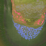 Darren Waterston, Soft Sounds no. 1, 2002