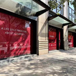 TEAM GREEN X OPERA GIRL, STARLITE VISUAL COMMUNICATION LIMITED / Hong Kong