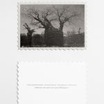 Lee Annie / Young Design Talent Special Mention Award 2023