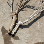 Font Development for Urban Branding, The Urban Brand Research Institute / Korea