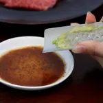 JMGO P5, SHENZHEN HOLATEK Co., Ltd. / The Mainland