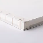 JONGGA KIMCHI BLAST TOKYO, DAESANG / Korea