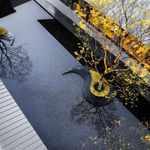 Yi Xin Qiao / Mainland China, The Chinese University of Hong Kong / Hong Kong