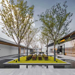 Yi Xin Qiao / Mainland China, The Chinese University of Hong Kong / Hong Kong