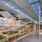 Yi Xin Qiao / Mainland China, The Chinese University of Hong Kong / Hong Kong