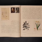 Haman Watermelon Project, HANJIN / Korea