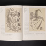 Haman Watermelon Project, HANJIN / Korea