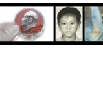 Haman Watermelon Project, HANJIN / Korea