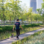 Circular Reflection—Participatory Interactive Experiential Design / Hong Kong, HUNG Keung + imhk lab. Ltd. / Hong Kong