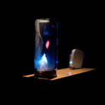 Eder Santos, São Sebastião, 2016