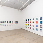 Gabriela Machado, “Ela vem em minha direção”, 2017