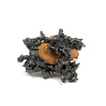 Campana, “Coração Coroado”, 2024