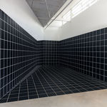 Regina Silveira, “GRAPH”, 2025