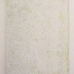 Tiago Tebet, Fêmea, 2009