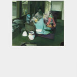 Rafael Carneiro, Cromo 2, 2021