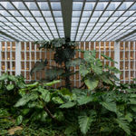 Bosco Sodi, Sem título | Untitled, 2016/2021