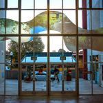 Camille Utterback, Flourish, 2013