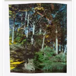 John Chiara, Avenue H: John F. Kennedy: Stowe Lake, 2023