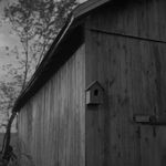 Keith Taylor, Birdhouse from the series 'The Farmstead', 2008
